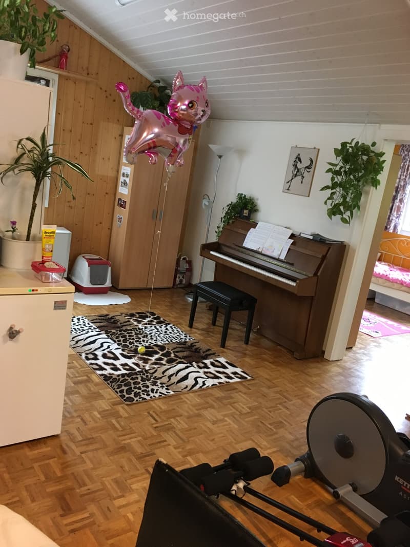 wood floor, couch, carpet, wooden cabinet, cat toy, exercise bike, plant, desk, piano, cat litter box, lamp