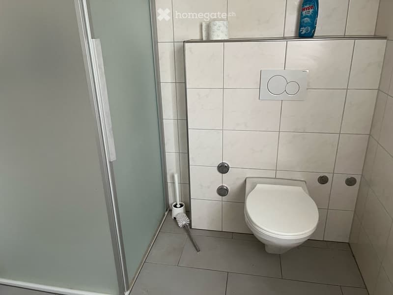 white tiled walls, white tiled floor, toilet, shower, roll of toilet paper, toilet brush
