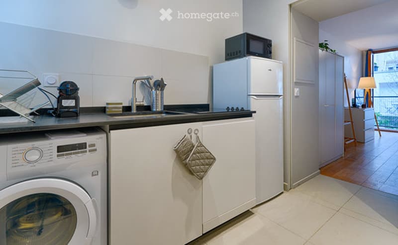 Modern kitchen with white cabinets, stainless steel sink, refrigerator, microwave, oven, and washing machine. Includes a dish rack and oven mitt hanging from a cabinet.