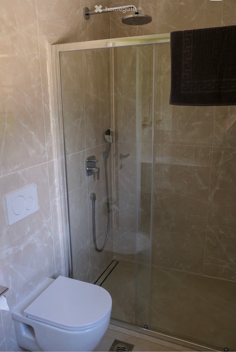 Modern bathroom with a white toilet, glass-enclosed shower, and a towel hanging on the wall.