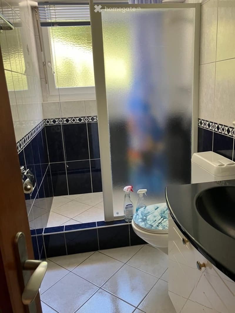 Modern bathroom with blue and white tiled walls, a glass shower stall, a toilet, a sink, and cleaning supplies on the floor.