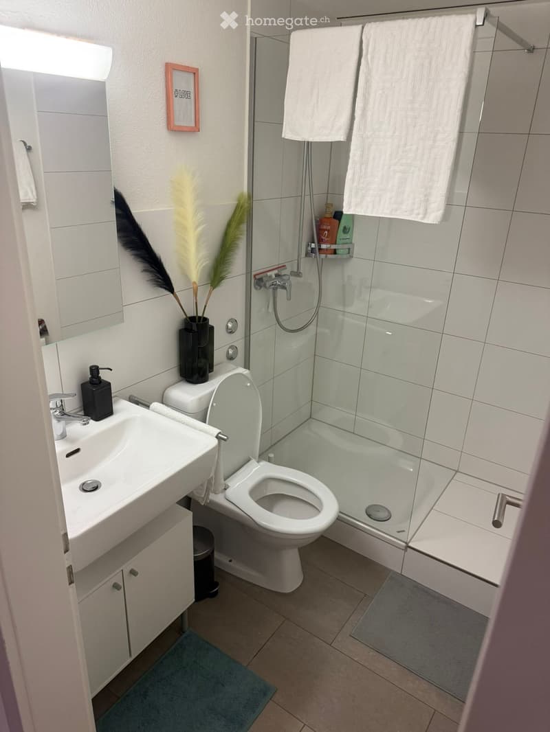 Modern bathroom with white tiles, a sink, toilet, shower, and decorative vase with feathers.
