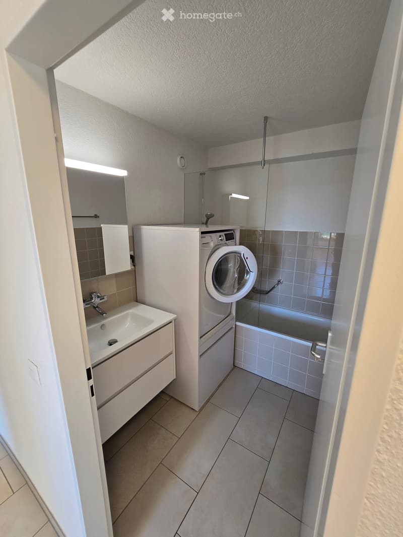 Modern bathroom with a sink, mirror, bathtub, and a washing machine in the corner.