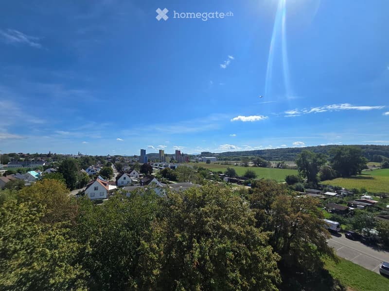 Aerial view of a suburban neighborhood with houses, trees, and a distant city skyline under a clear blue sky.