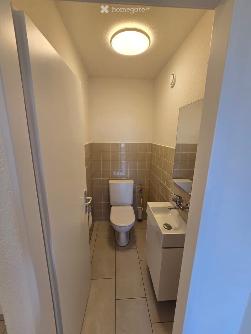 Compact bathroom with a toilet, sink, and mirror, featuring tiled walls and a round ceiling light.