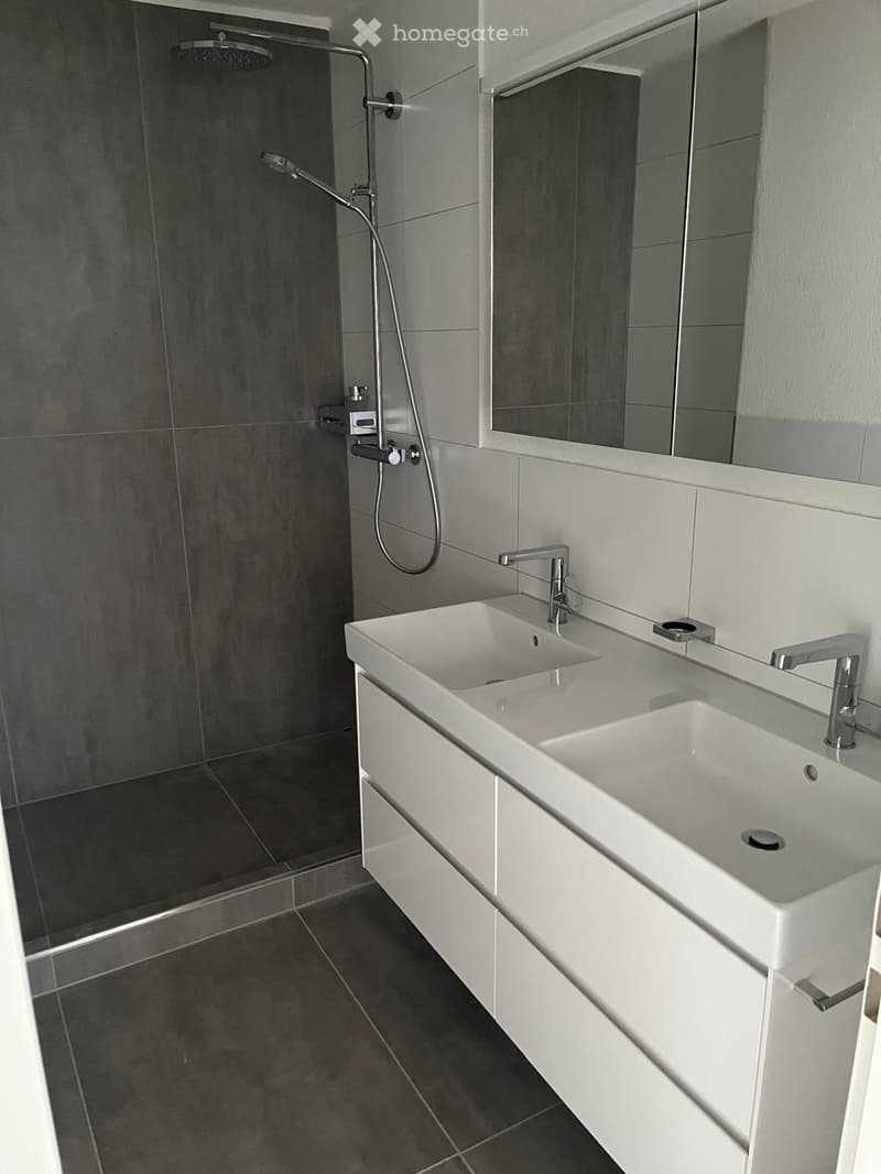 Modern bathroom with a double sink, sleek white cabinetry, chrome faucets, and a large mirror above the sinks. The shower area features dark grey tiles and a handheld showerhead.