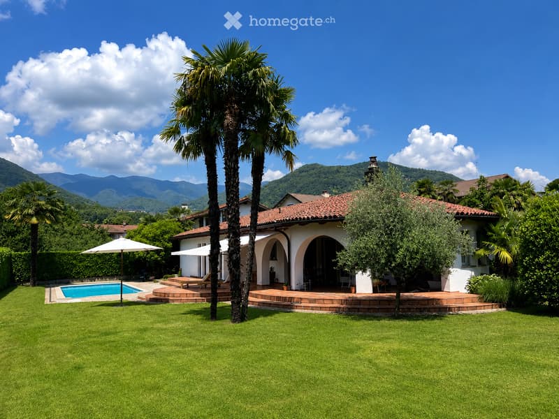 A well-maintained garden with a swimming pool, lounge chairs, umbrellas, and tall palm trees, surrounded by a lawn and a house with a tiled roof.
