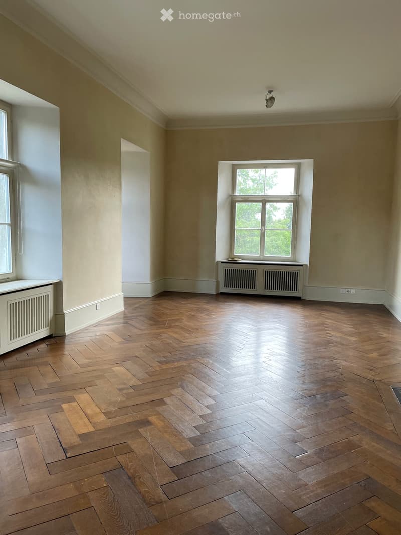 Schlossräume- Büroträume 2-Zimmer-Gewerberäume in historischem Gebäude (8)