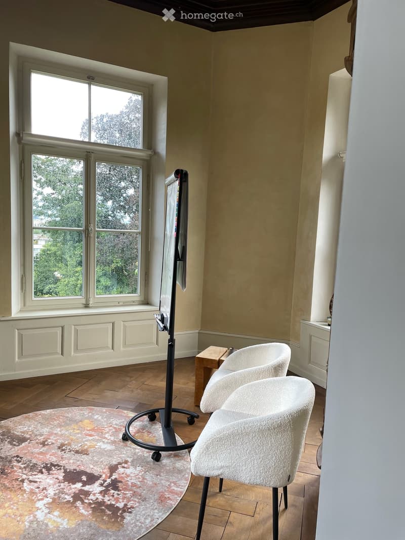 Schlossräume- Büroträume 2-Zimmer-Gewerberäume in historischem Gebäude (6)