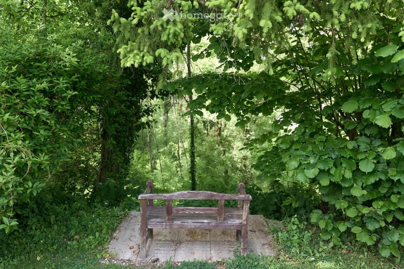 A wooden bench is placed on a concrete slab surrounded by dense green foliage and trees, creating a secluded outdoor seating area.