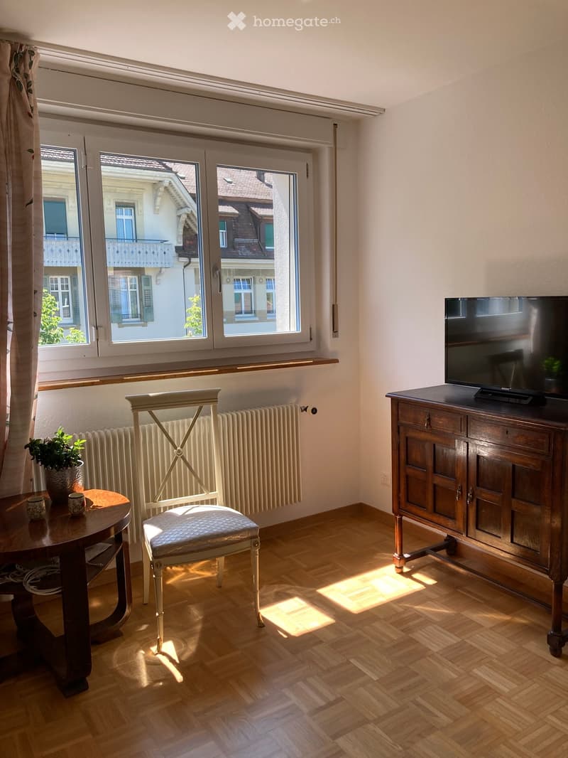 Bright room with wooden flooring, large window with view, a wooden chair, small table with potted plant, television on wooden cabinet, radiator under window.