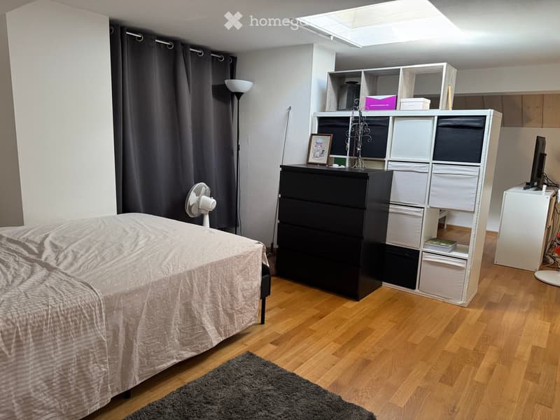 A modern bedroom with a bed, nightstand, fan, storage unit, picture frame, floor lamp, and a screen. The room features wooden flooring and a grey rug.