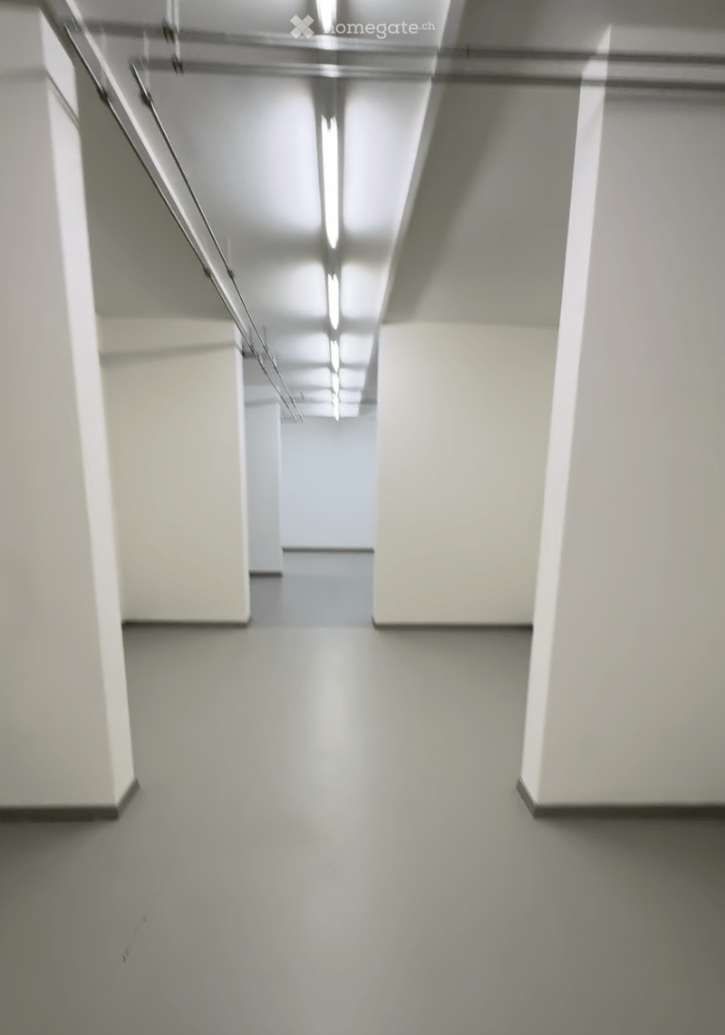 Empty, modern corridor with white walls, grey floor, and recessed lighting. Minimalist design with no visible furniture or objects.