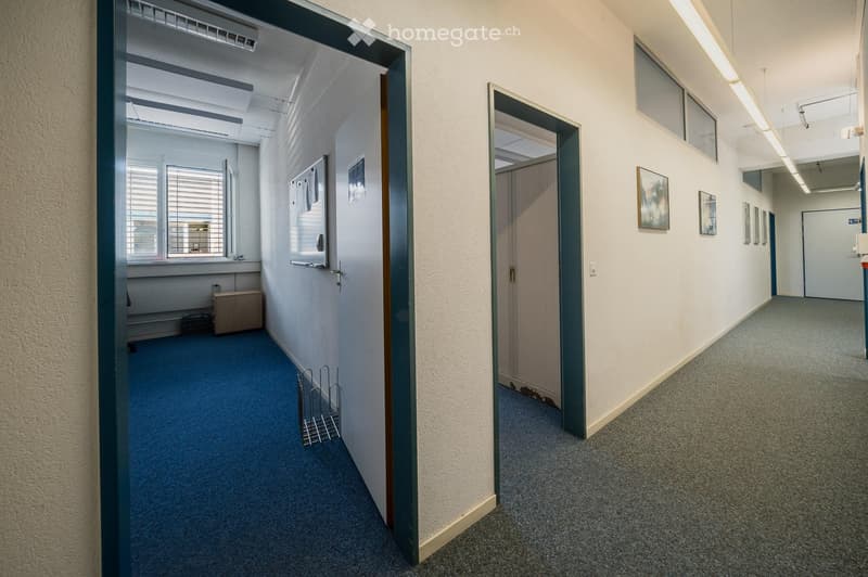A clean, well-lit hallway with carpeted floors, white walls, and several doors leading to rooms. There are framed pictures on the walls and a small metal rack with papers on the left side.