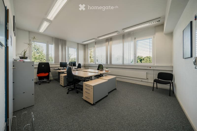 Office space with desks, chairs, computers, cabinets, and small plants. Large windows with blinds and overhead lighting.