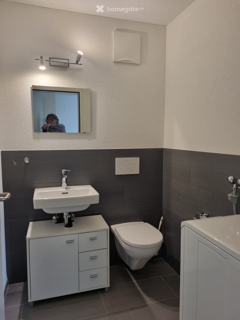 Modern bathroom with a white sink, mirror, toilet, and cabinet. Dark grey tiles on lower half of walls, light grey tiles on upper half.