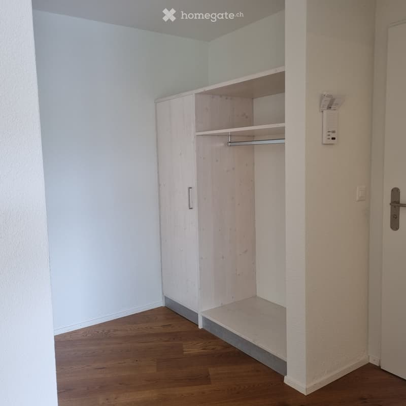 Empty room with wooden flooring, light-colored walls, and a built-in closet with shelves and a hanging rod.