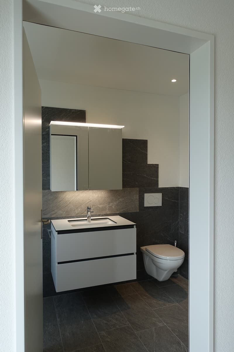 Modern bathroom with dark tiled walls, white cabinet, sink, mirror, and toilet.