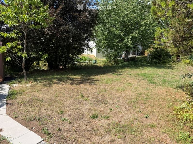 A grassy backyard with trees and a small shed in the background.