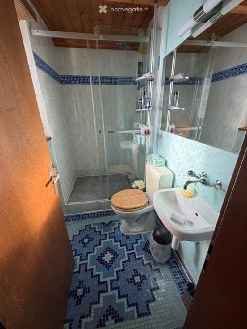 Charmantes 4.5-Zimmer-Einfamilienhaus in Wisen SO – Sofort verfügbar! (41)