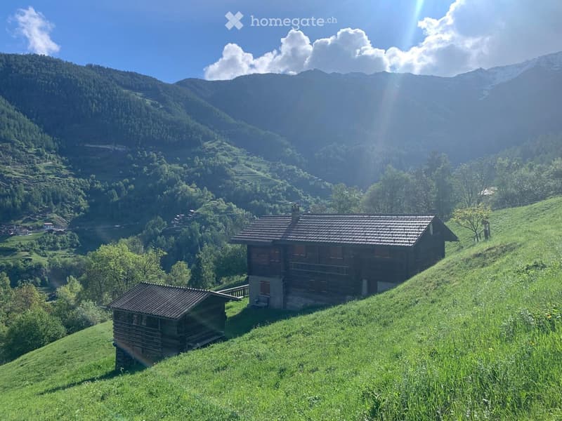 A wooden house with a tiled roof sits on a grassy hillside, surrounded by lush greenery and distant mountains.