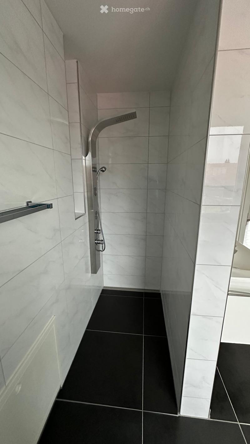 Modern bathroom with white marble tiles, black floor tiles, and a glass-enclosed shower area featuring a modern shower handle and rail.