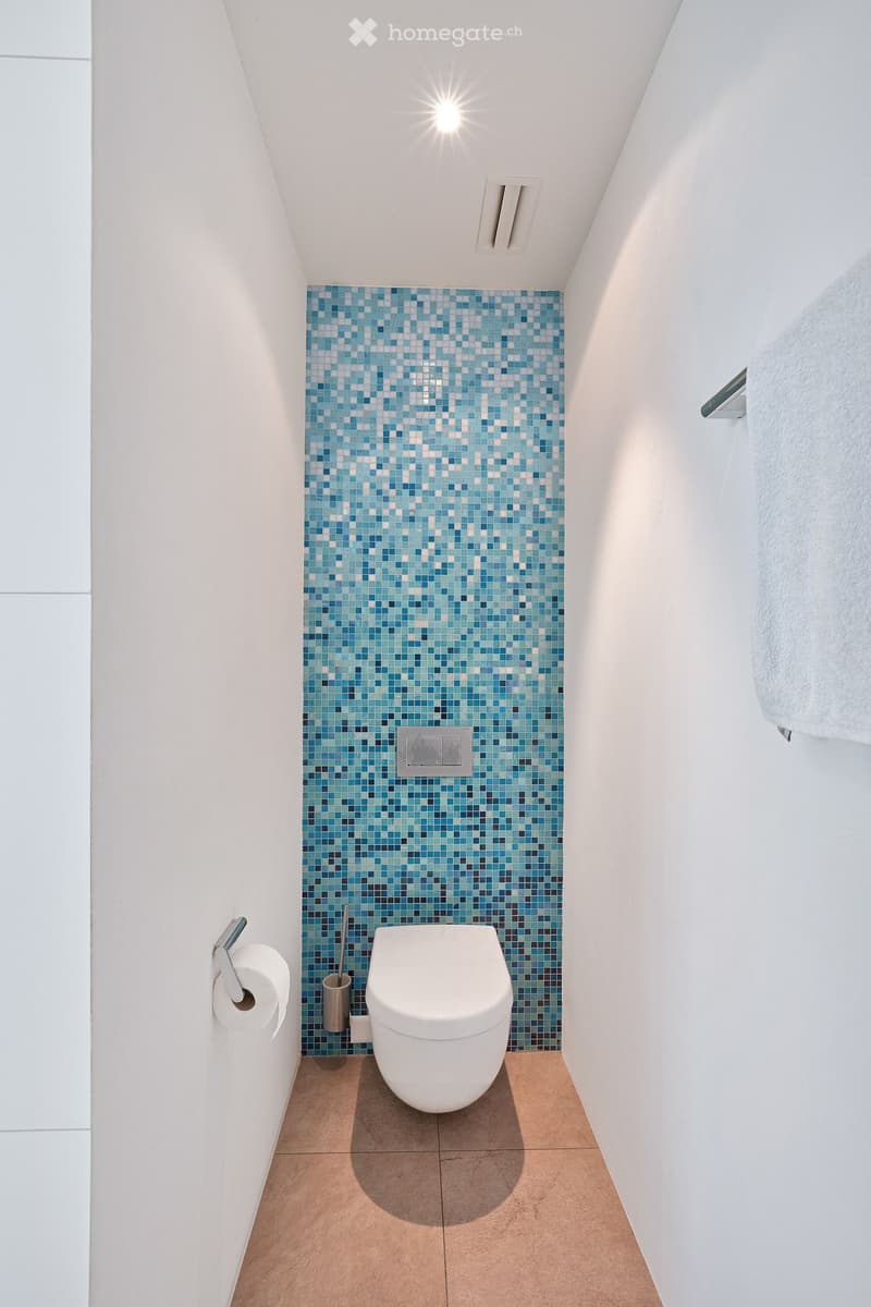 Modern bathroom with white walls, blue mosaic tiles on one wall, a toilet, toilet paper holder, and a towel on a rack.