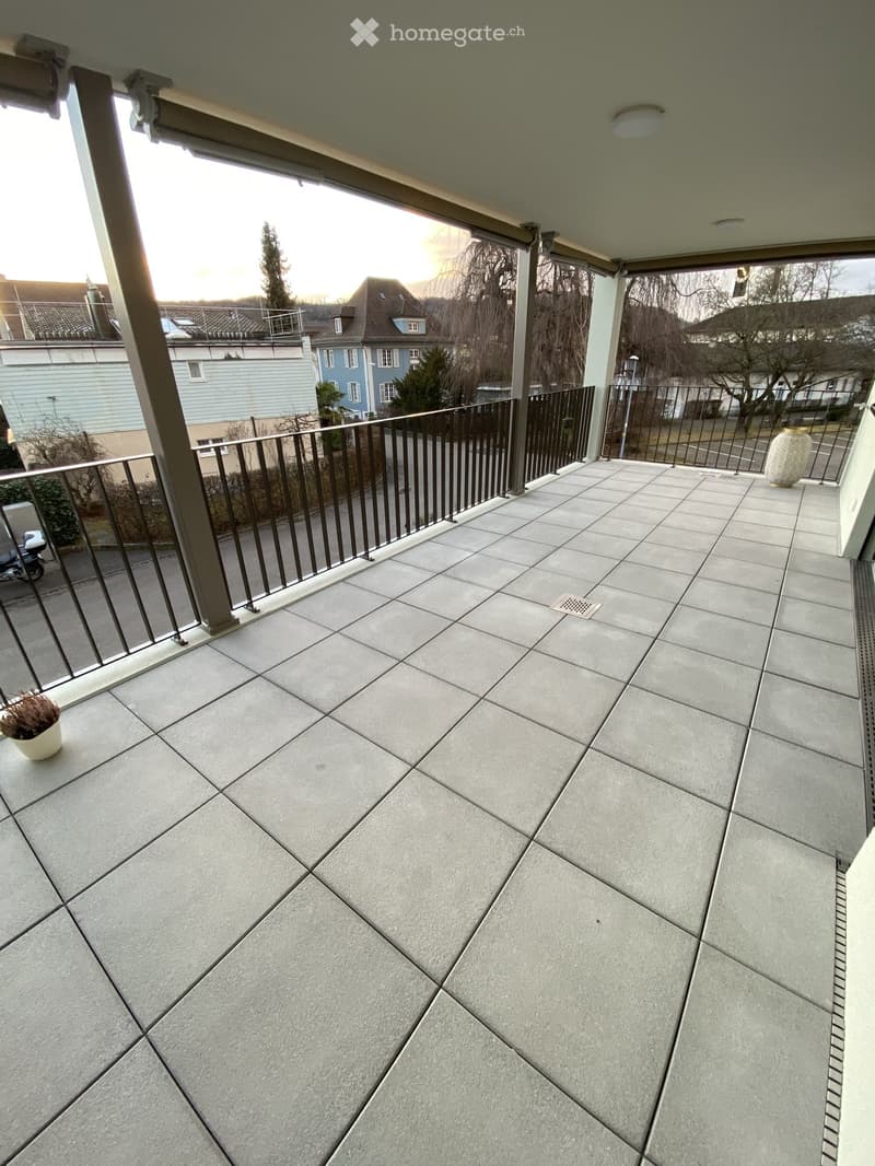 Balcony with tiled floor, metal railing, and two potted plants.