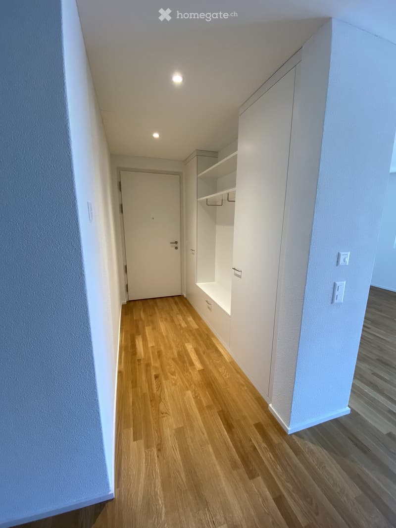 A narrow hallway with light wooden flooring, white walls, built-in storage units, and recessed lighting.