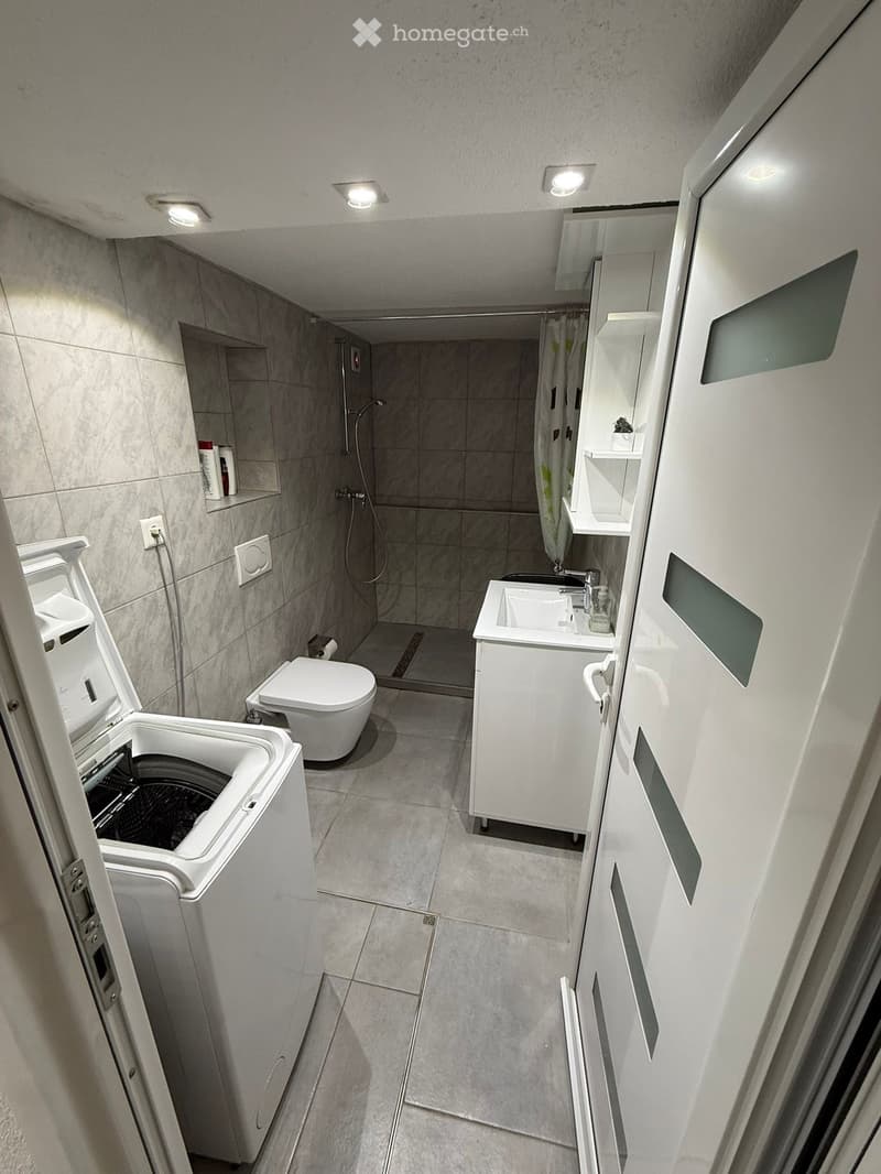small bathroom with shower, toilet, sink, washing machine