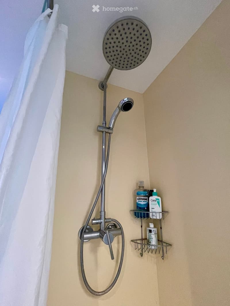 Shower area with a handheld showerhead, overhead showerhead, and a metal shower rack holding toiletries.