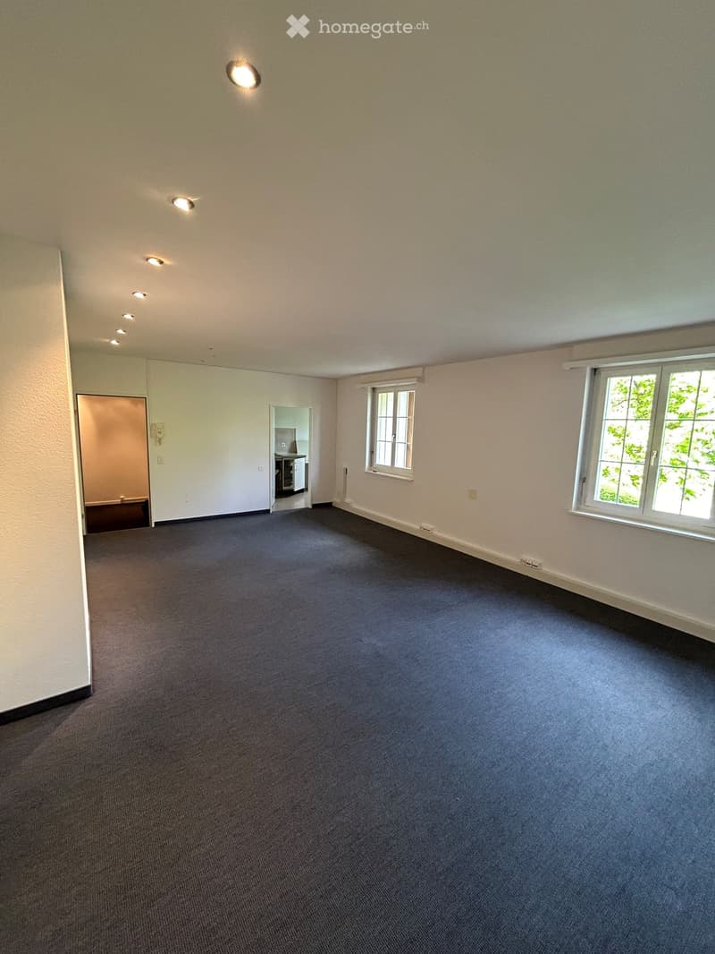 Empty room with carpeted floor, white walls, and recessed lighting. Features two windows, a door leading to another room, and a small closet with a mirror and shelves.