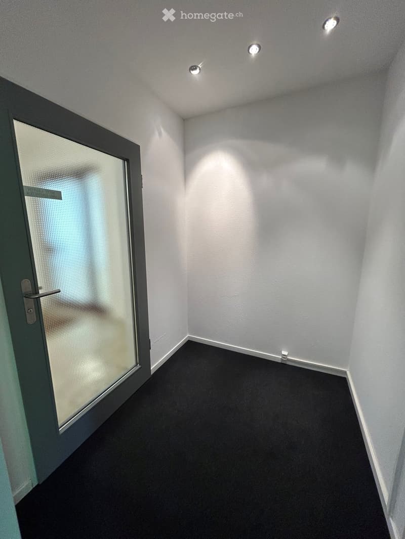 Empty room with white walls, black carpeted floor, and a single frosted glass door with a silver handle.