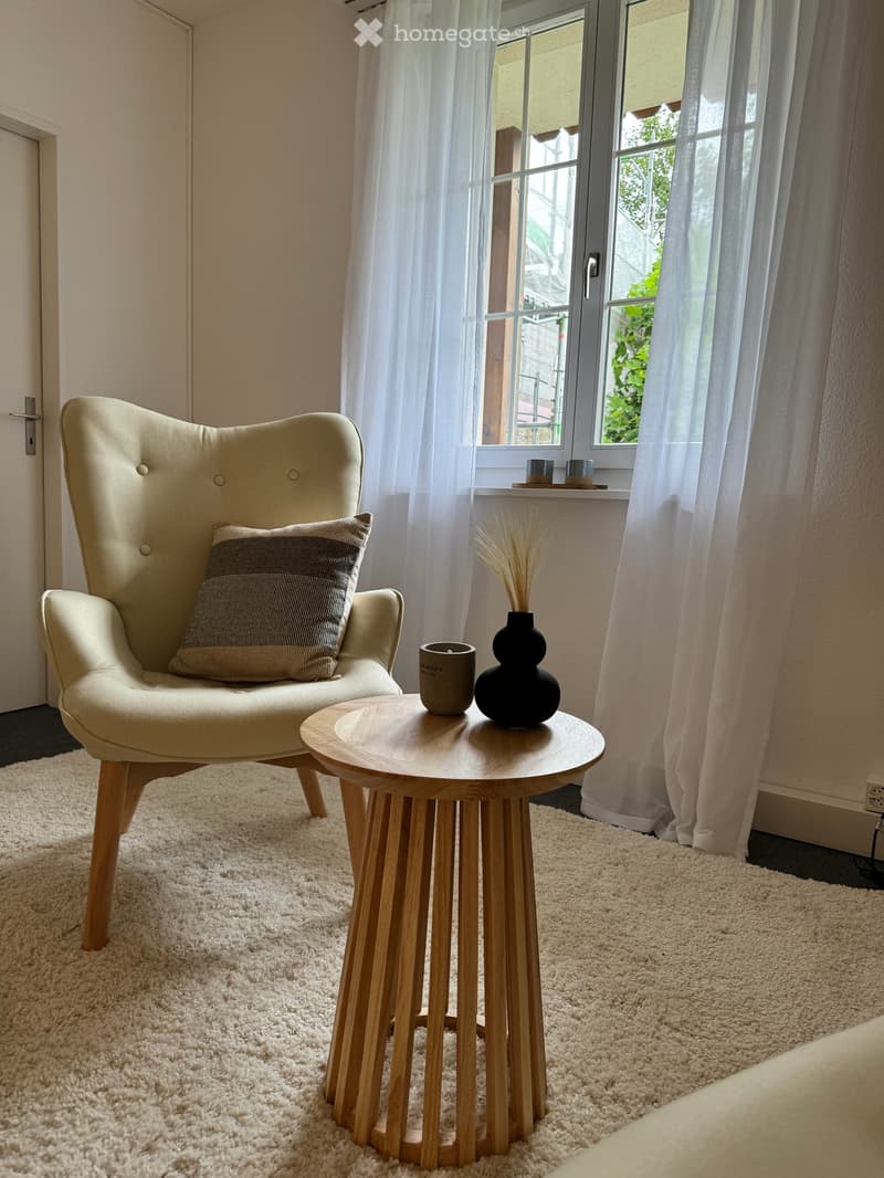 Helles 1.5-Zimmer-Büro an der Hauptstrasse in Frick (11)