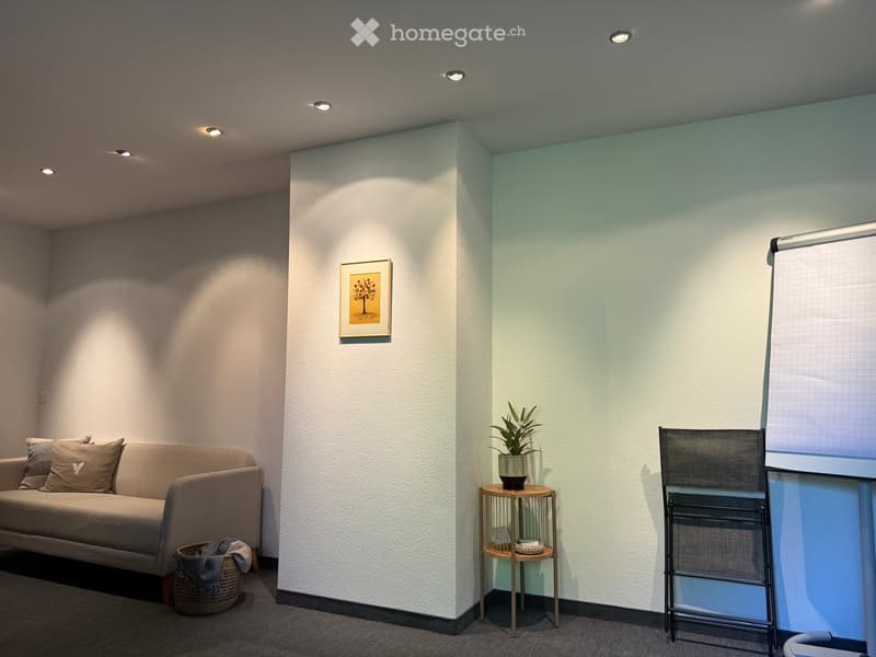Helles 1.5-Zimmer-Büro an der Hauptstrasse in Frick (13)