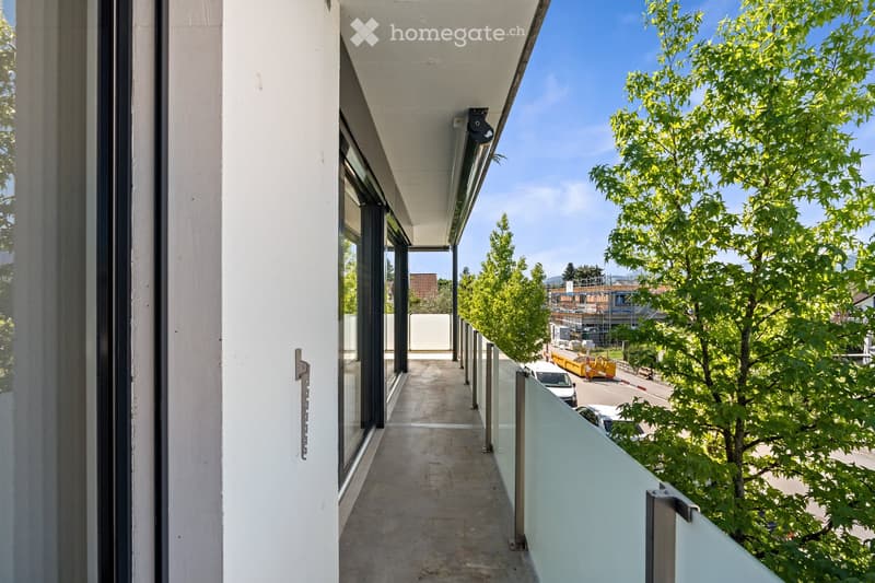 Modern balcony with glass railings, concrete floor, and a view of a tree-lined street and parked cars.