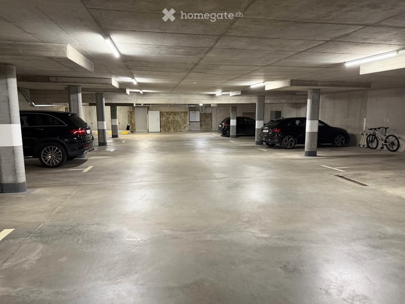 Einstellhalle mit Eingang zum Haus