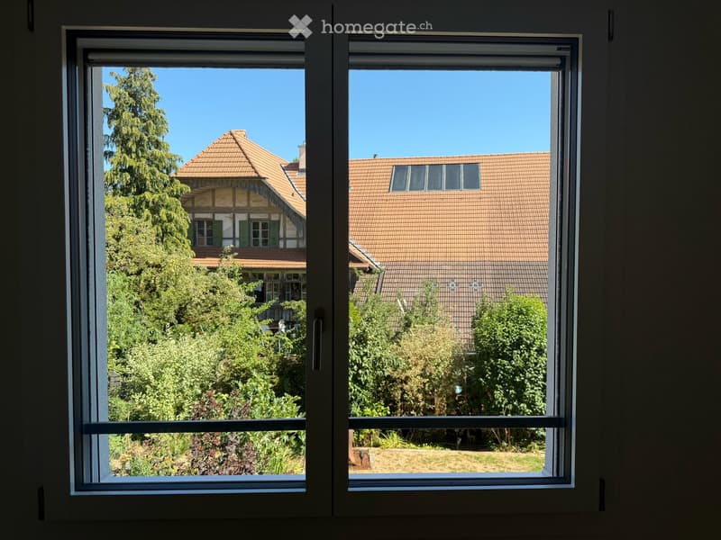 Fenster mit Insektenschutzgitter Ostseite