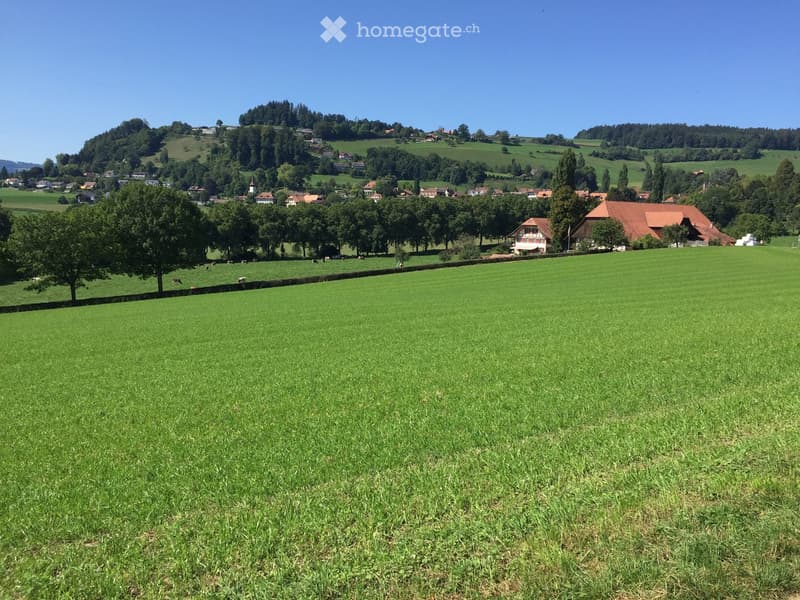 A wide, green field with scattered trees and a few houses in the background, surrounded by rolling hills and a clear blue sky.