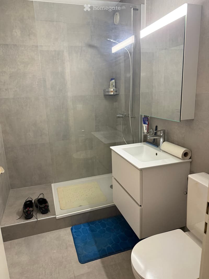 Modern bathroom with a white sink, toilet, and glass-enclosed shower. Includes a blue bath mat, a beige shower mat, and a mirror with a built-in cabinet. Two pairs of shoes are placed near the shower entrance.