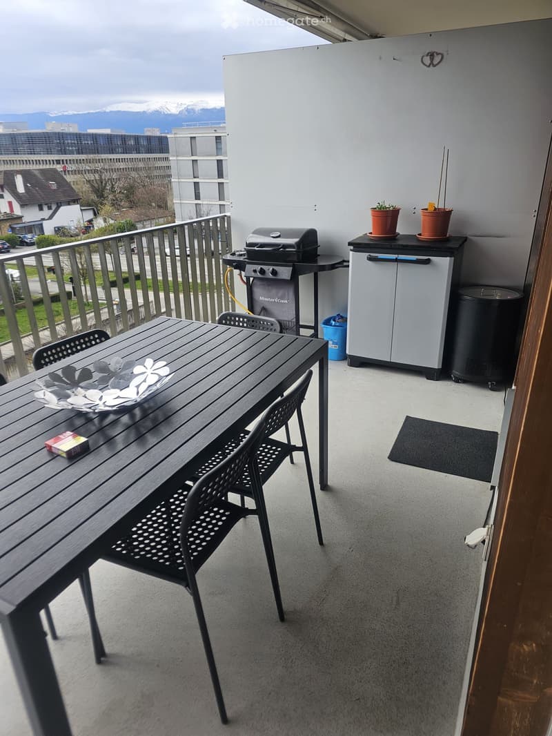 Balcony with a wooden table, chairs, grill, storage unit, flower pots, and a trash bin. Offers a view of the city and mountains.