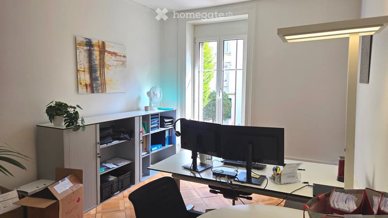 Office space with a desk, two computer monitors, a chair, a fan, a potted plant, a cabinet with books, and a piece of art on the wall.