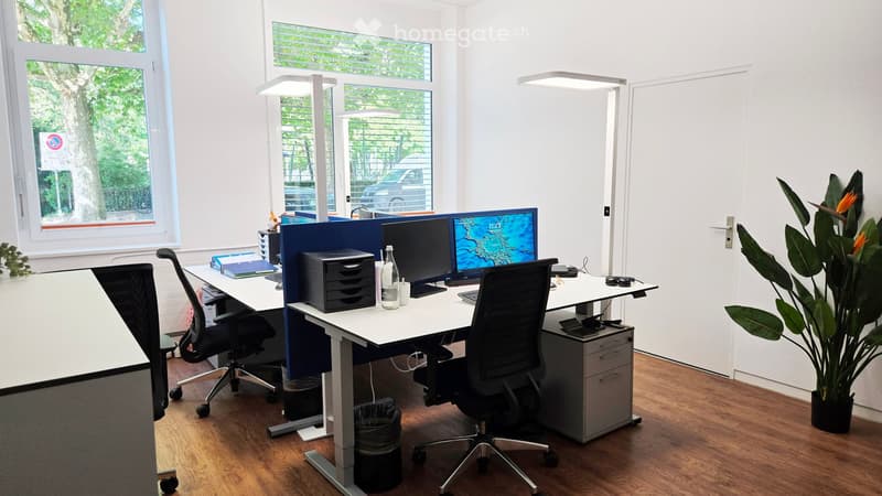 Modern office space with two desks, ergonomic chairs, dual monitors, printer, and decorative plant.