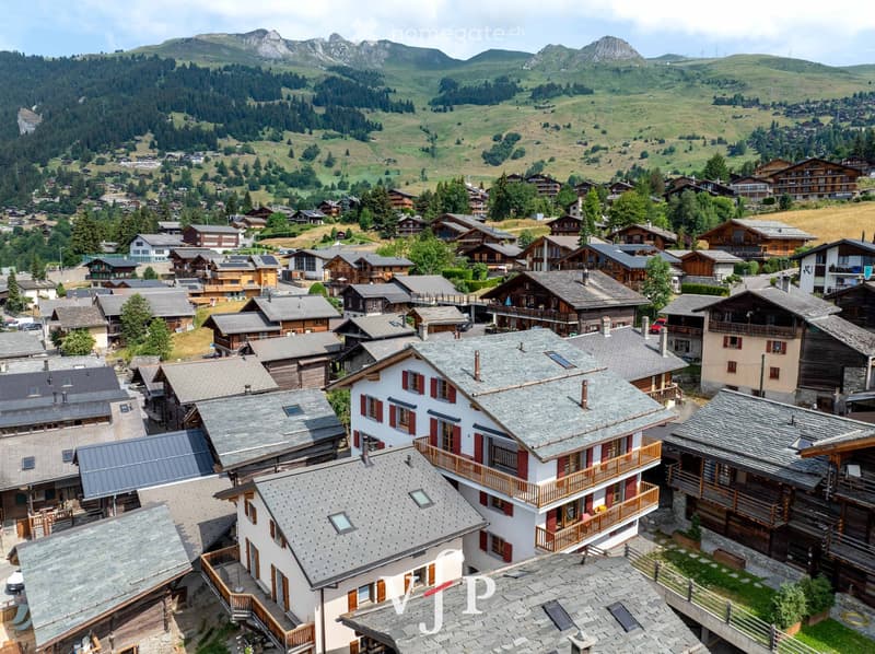 Aerial view of a village with traditional wooden and stone houses, surrounded by green hills and mountains.