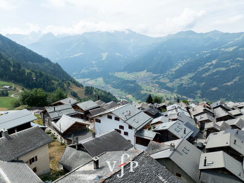A panoramic view of a village nestled in a mountainous region, featuring numerous houses with grey slate roofs and chimneys, surrounded by lush green forests and distant mountain peaks.
