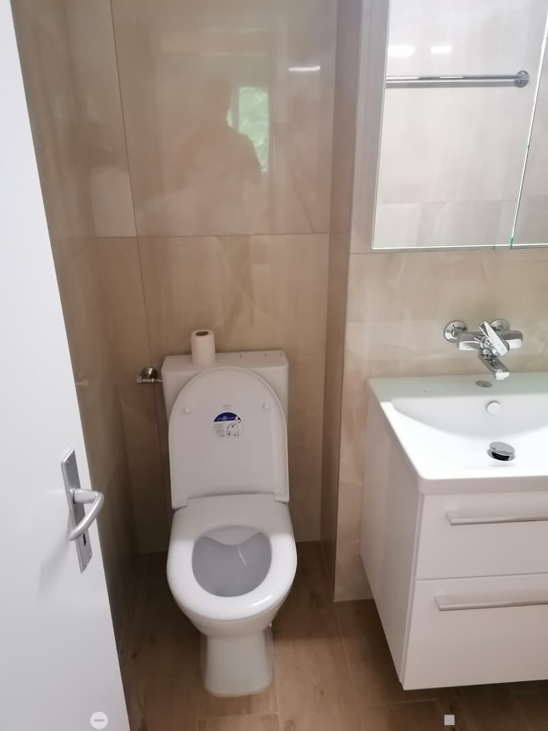 Modern bathroom with a toilet, sink, and mirror. Light-colored tiles and wooden flooring.