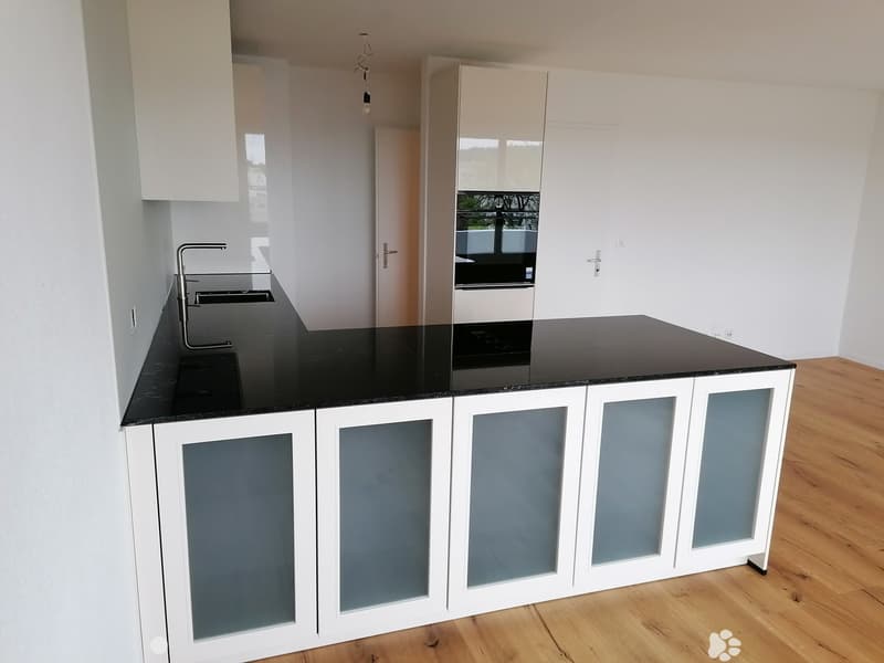 Modern kitchen with white cabinets, black countertop, and a stainless steel sink.