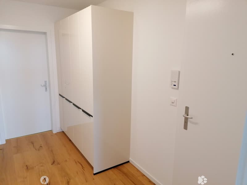 A narrow hallway with light wooden flooring, white walls, and built-in white storage units on one side. A door is visible at the end of the hallway.