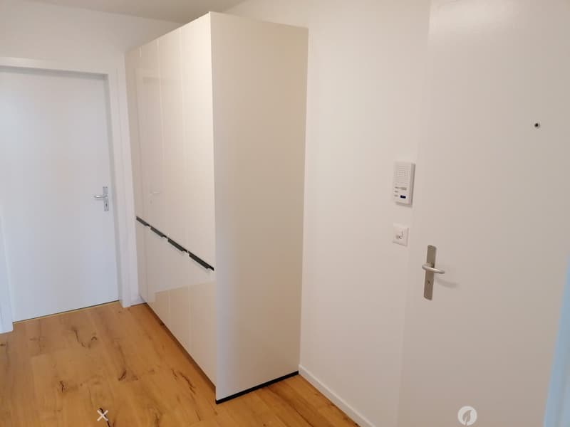 A narrow hallway with light wooden flooring, white walls, and built-in white storage units on one side. A door is visible at the end of the hallway.