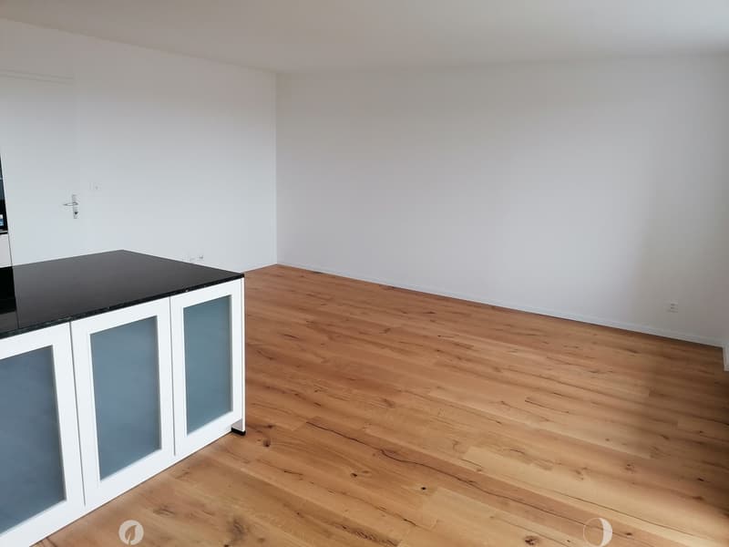 Empty room with light wooden flooring and white walls, featuring a small white cabinet with glass doors and a black countertop.
